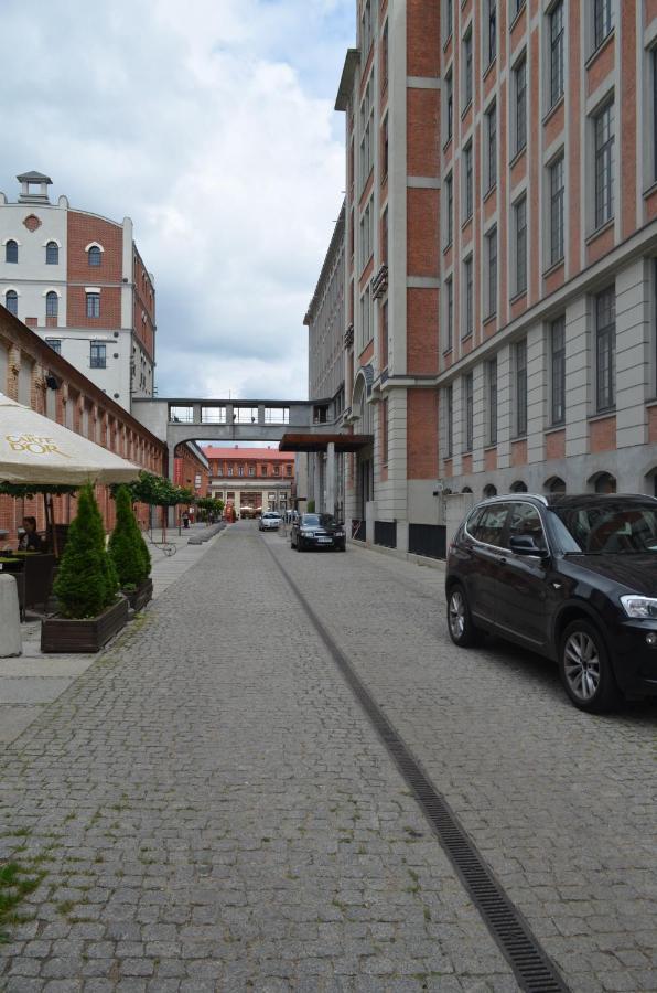 Loft 314 Apartment Zyrardow Bagian luar foto