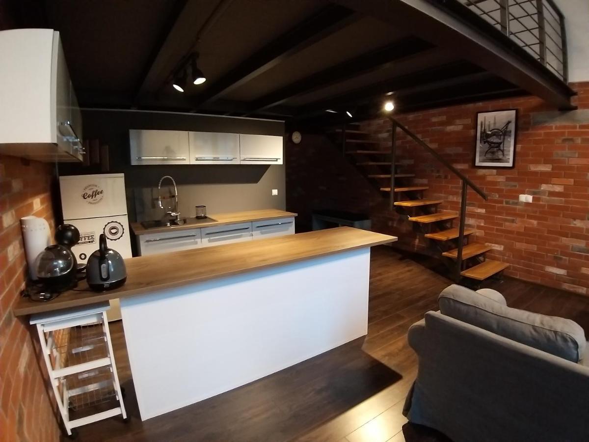 Loft 314 Apartment Zyrardow Bagian luar foto